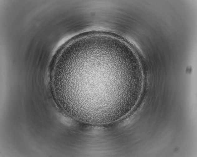 X0000091211070200708091343