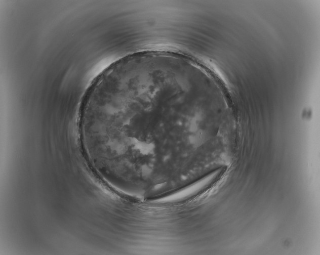 X0000091211071200708091343