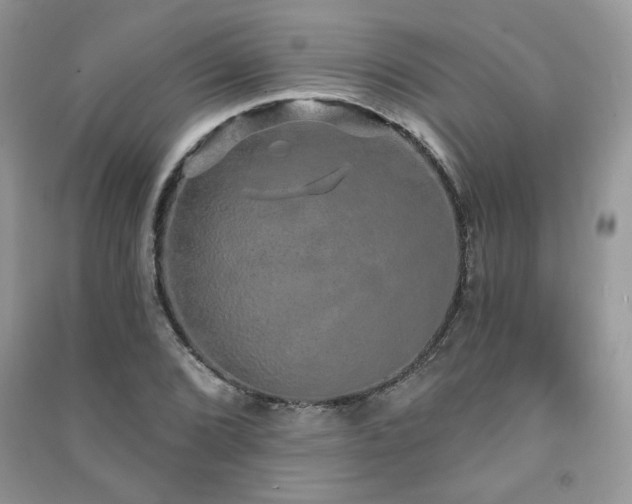 X0000091211072200708091343