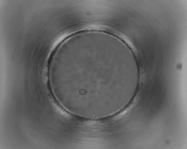 X0000091211075200708091343