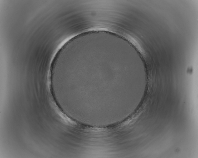 X0000091211076200708091343