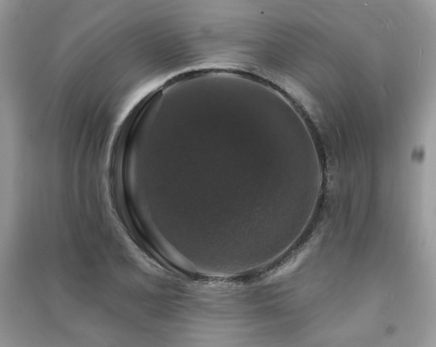 X0000091211077200708091343