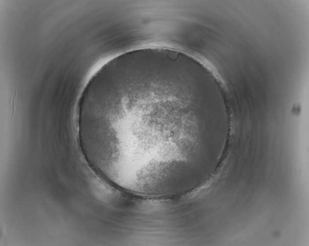 X0000091211078200708091343