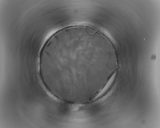 X0000091211079200708091343