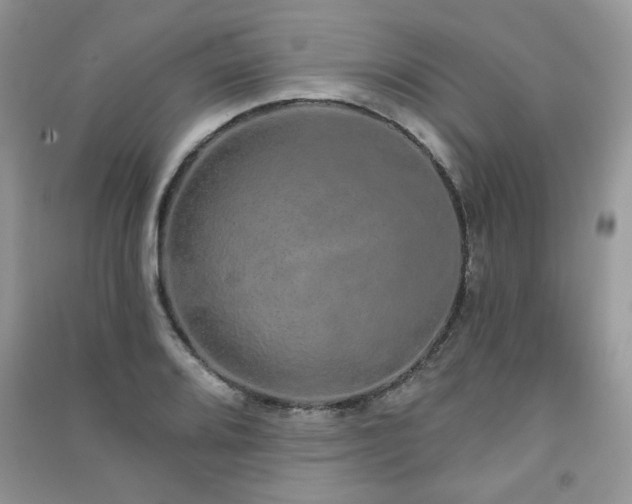 X0000091211080200708091343