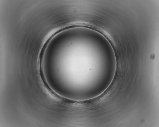 X0000091211082200708091343