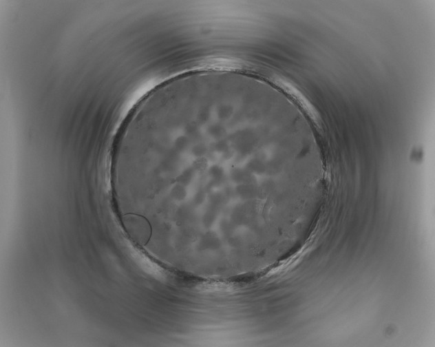 X0000091211083200708091343