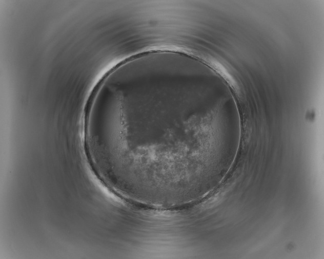 X0000091211084200708091343