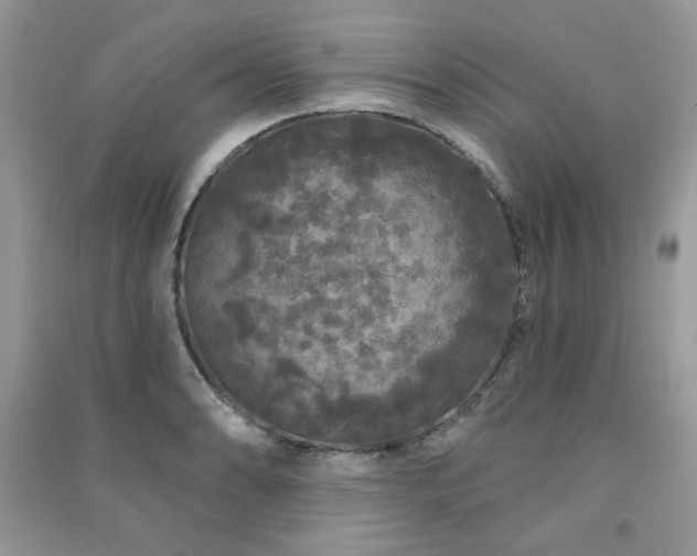 X0000091211086200708091342