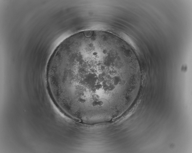 X0000091211087200708091342
