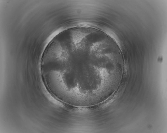 X0000091211090200708091342