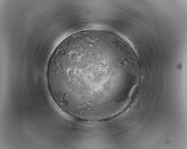X0000091211091200708091342