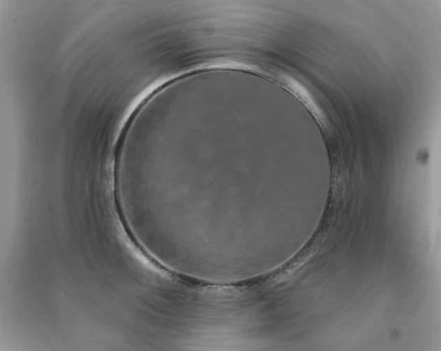 X0000091211092200708091342