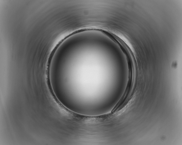 X0000091211093200708091342