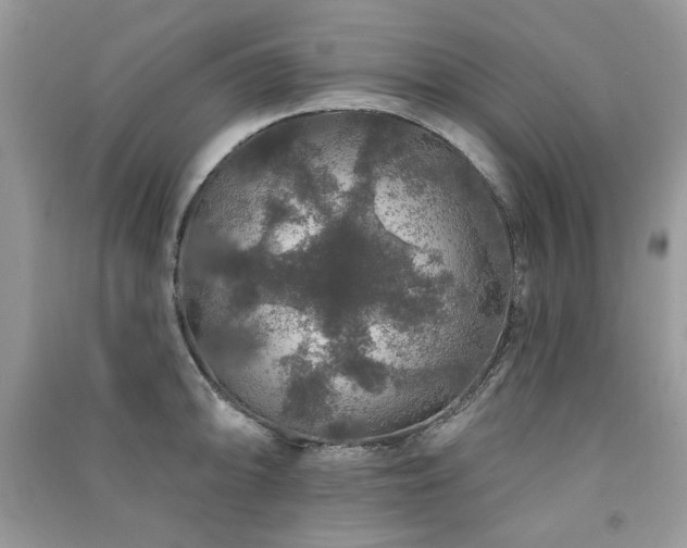 X0000091211094200708091342