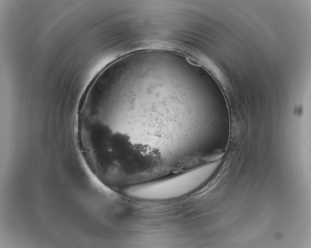 X0000091211095200708091342