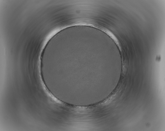 X0000091211096200708091342