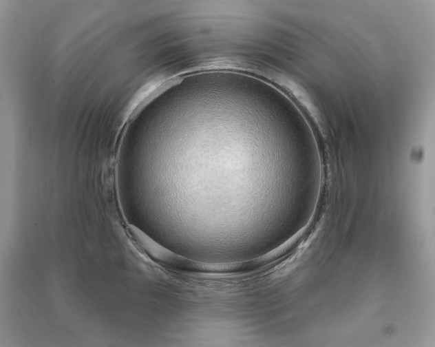 X0000091211097200708091342