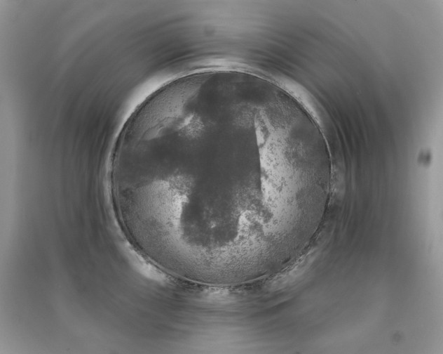 X0000091211098200708091342