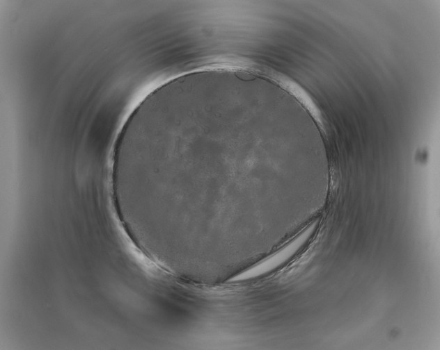 X0000091211099200708091342