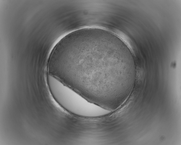 X0000091211100200708091342
