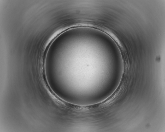 X0000091211101200708091342