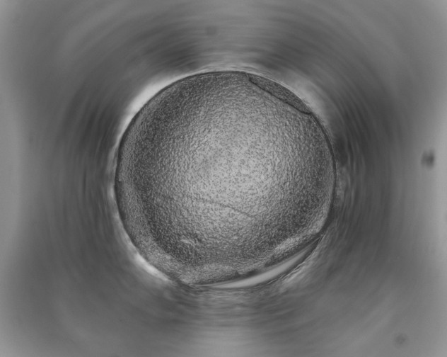 X0000091211102200708091342