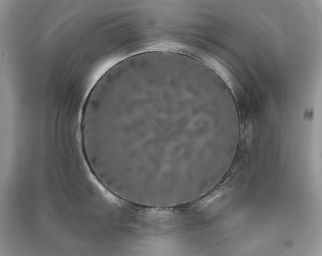 X0000091211103200708091342