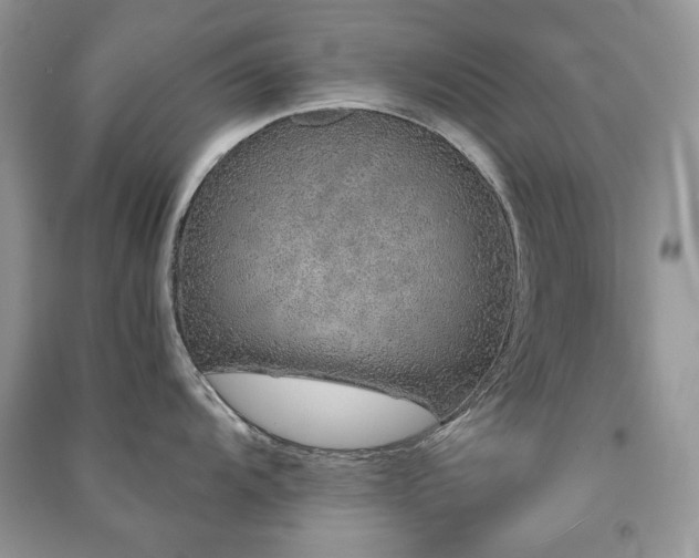 X0000091211104200708091342