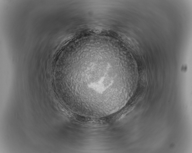 X0000091211105200708091341