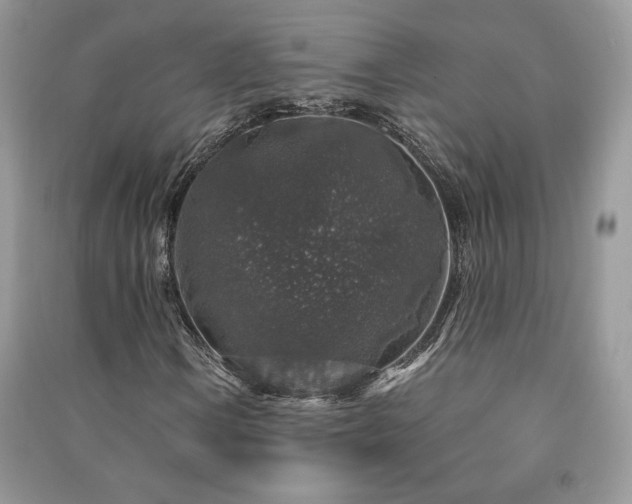 X0000091211106200708091341