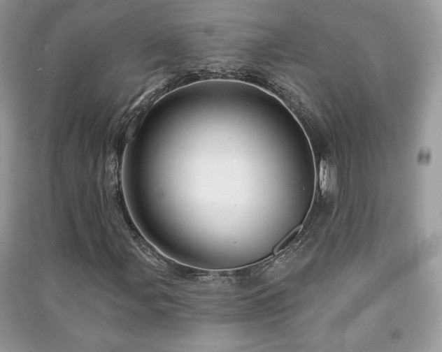 X0000091211107200708091341