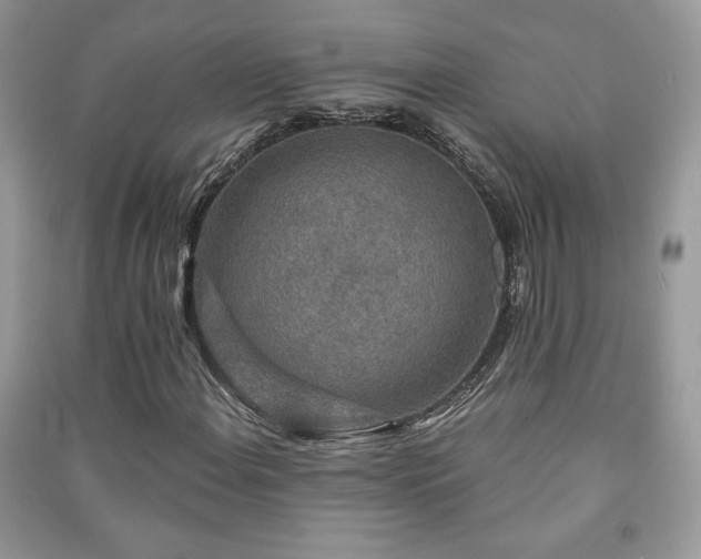 X0000091211108200708091341