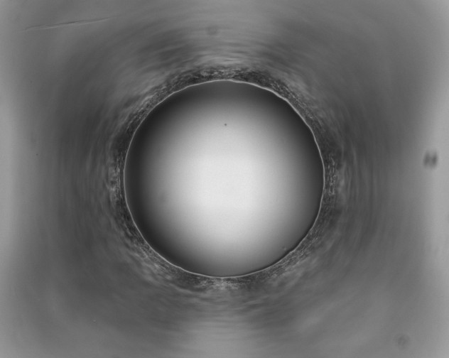 X0000091211109200708091341