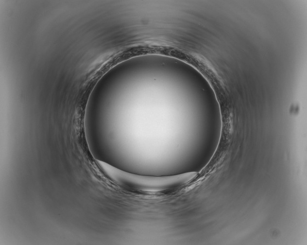 X0000091211110200708091341