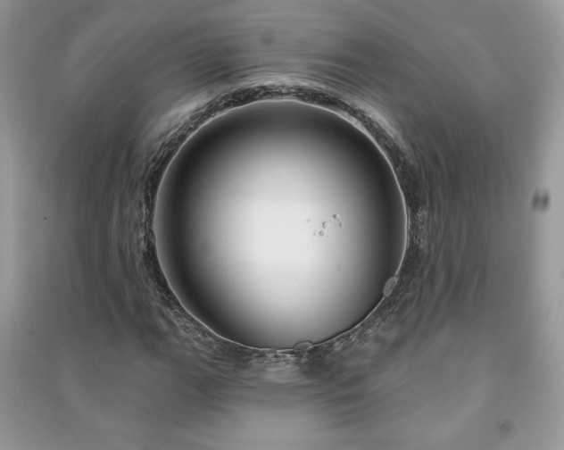 X0000091211111200708091341