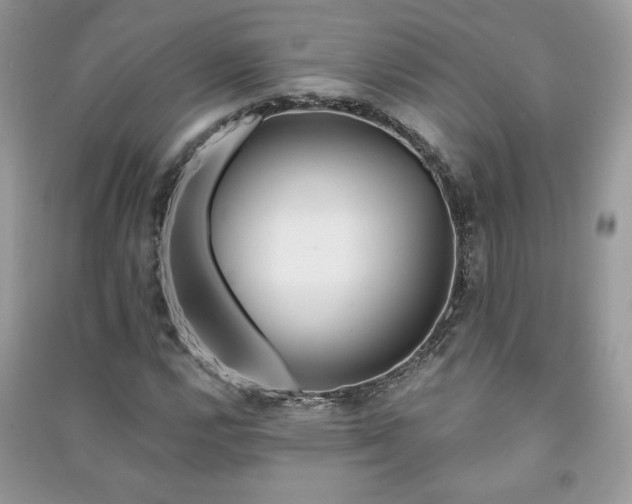 X0000091211112200708091341