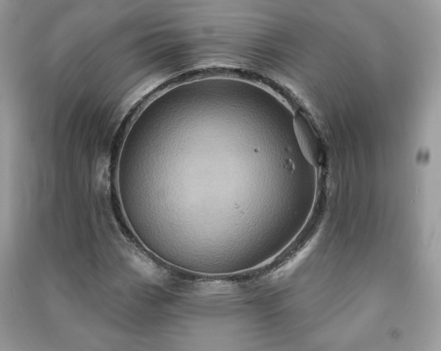 X0000091211113200708091341