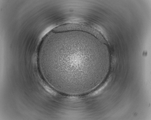 X0000091211114200708091341