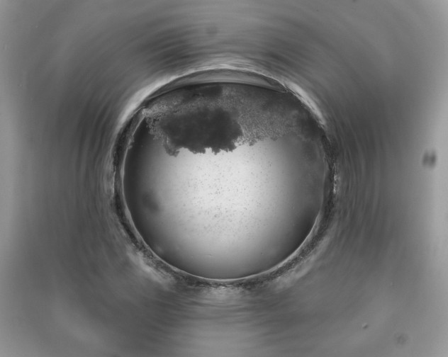 X0000091211117200708091341
