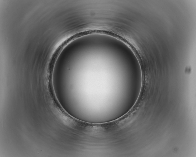 X0000091211119200708091341