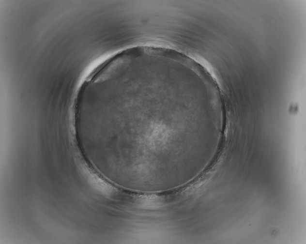 X0000091211120200708091341