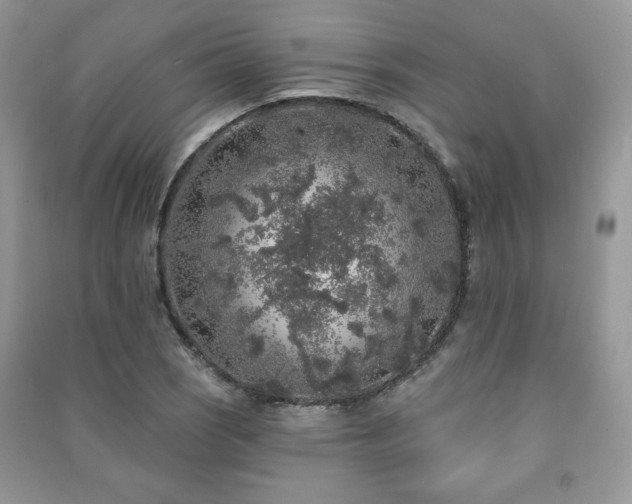 X0000091211121200708091342