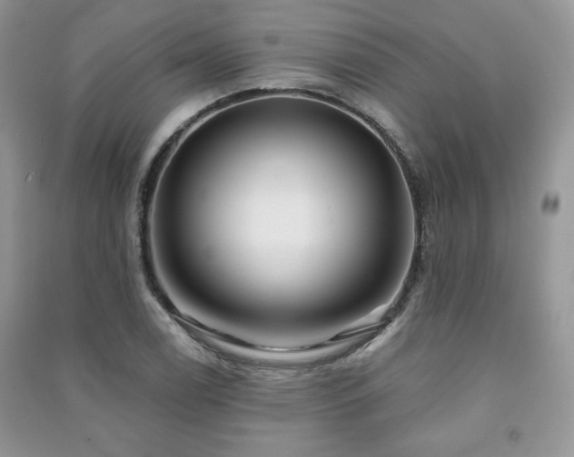 X0000091211122200708091342