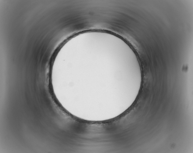 X0000091211126200708091342