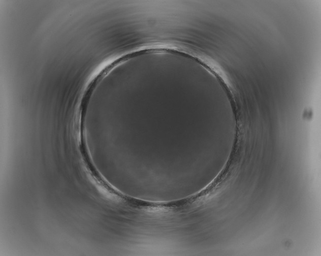 X0000091211127200708091342