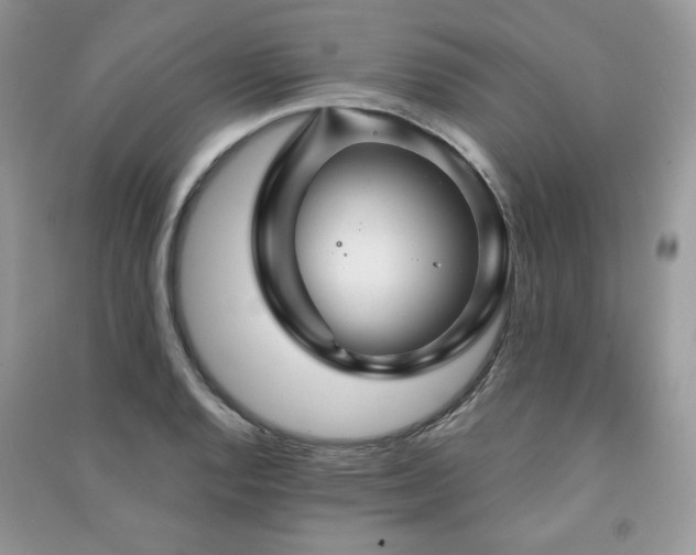 X0000091211128200708091342