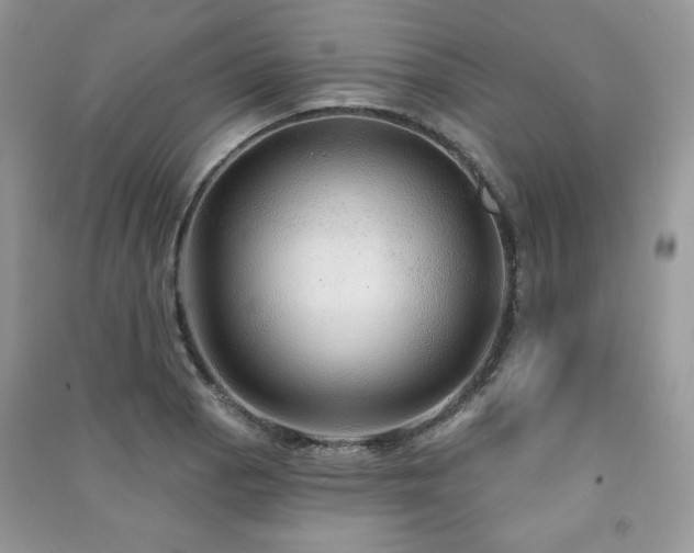 X0000091211129200708091342