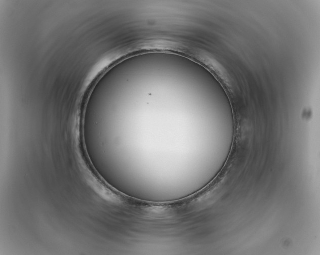 X0000091211130200708091342