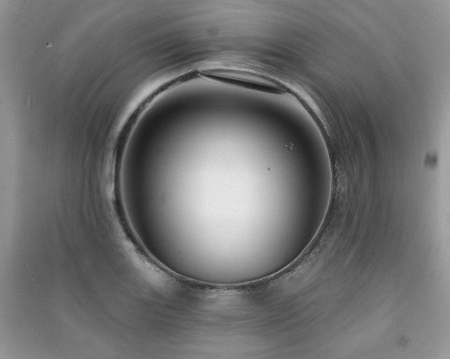 X0000091211131200708091342